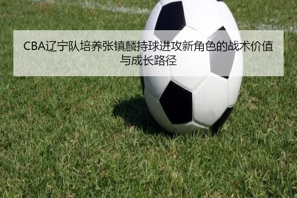 CBA辽宁队培养张镇麟持球进攻新角色的战术价值与成长路径